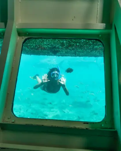 /book-tours/Dolphin-en-Sea-Aquarium/Animal_Encounters_18.jpg